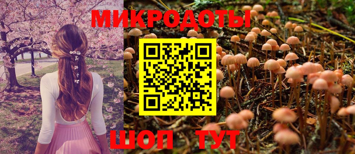 Псилоцибиновые грибы MAGIC MUSHROOMS Ржев